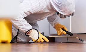 Best Residential Pest Control  in Hillsborough, NJ